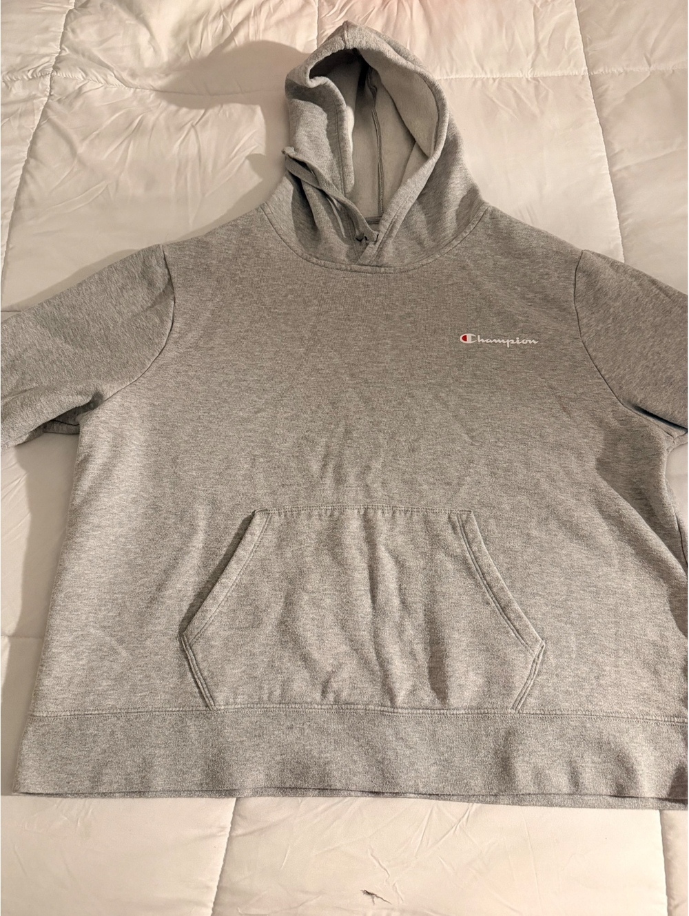 Champion Authentic Athleticwear Gray Hoodie Sweatshirt XL